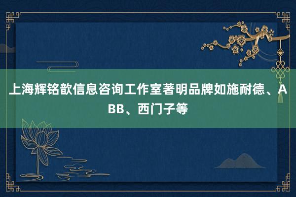 上海辉铭歆信息咨询工作室著明品牌如施耐德、ABB、西门子等